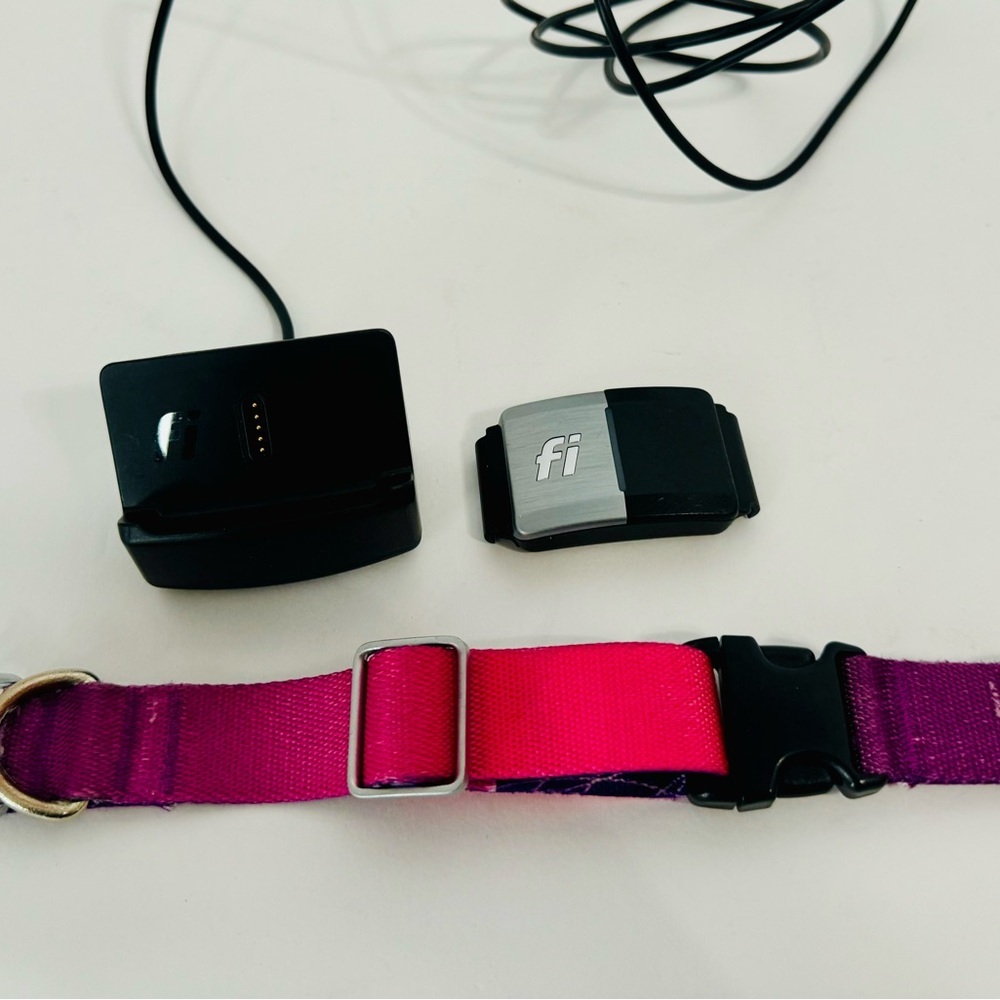 Fi FC2 Dog Collar with Charger and Module (size small) pre-owned